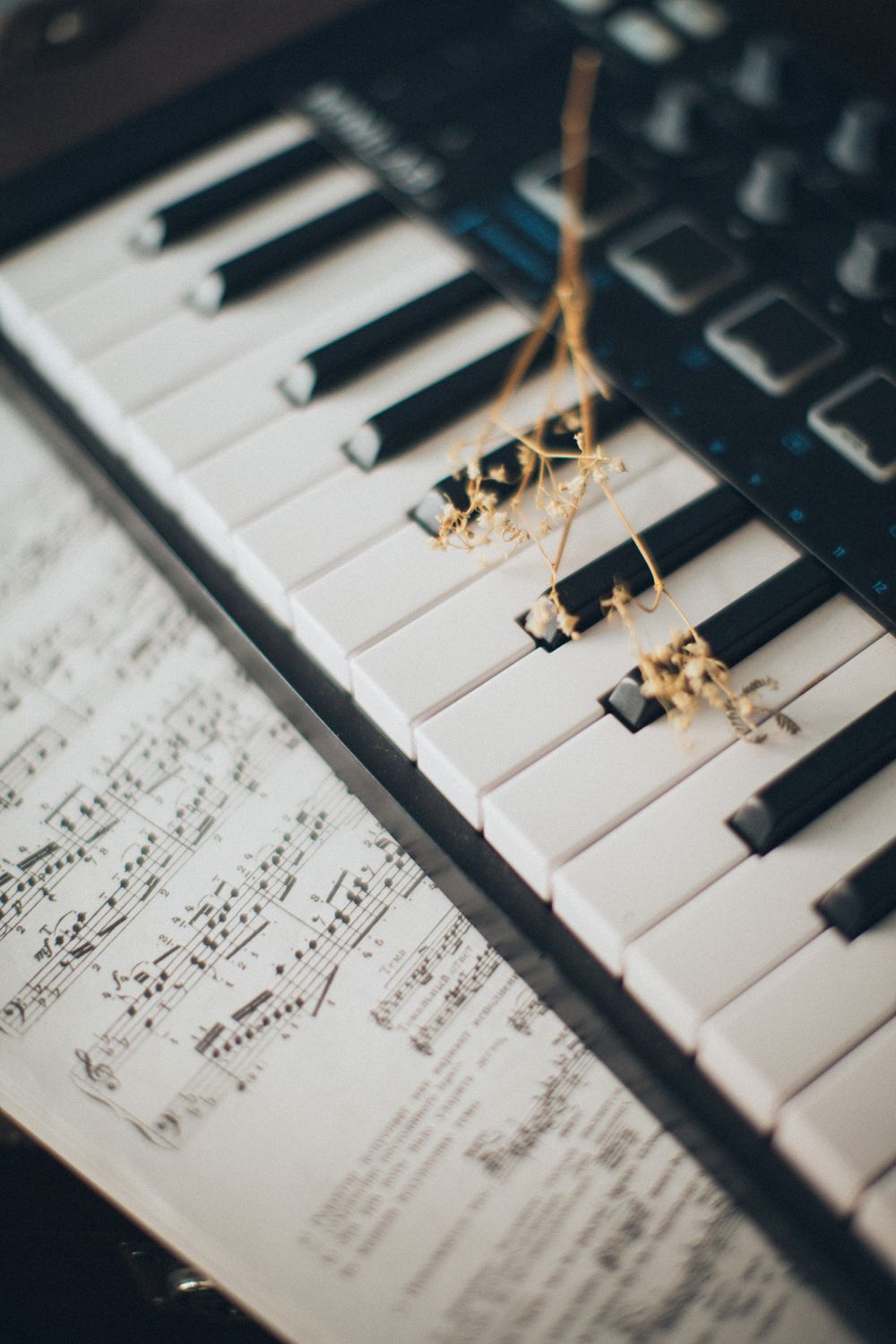 Piano keys with handwritten sheet music resting on top